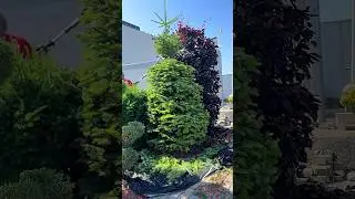 #landscape #satisfying #gardendesign #gardenstyle