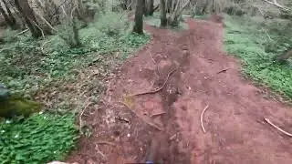 Castell Coch Mountain Bike Trails | Ganol DH
