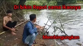 fishing#edisi#ngevlog  Mancing di sini ikannya bikin repot,saya makan ikannya ikut makan