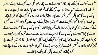 Urdu Novel 