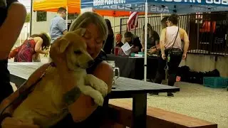 Austin Pets Alive! Celebrates 11 Years as a No-Kill City