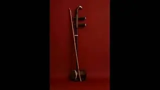 I'M TOO OLD TO DIE - The Erhu Beat (OFFICIAL AUDIO)
