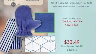 Norwex Grab-and-Go Shine Kit 