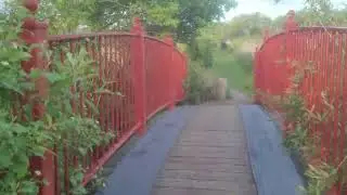 Come for a walk with me.