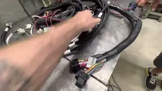 GM 24x and 58x Crank Sensor Connector