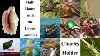 Half Hours With the Lower Animals by Charles HOLDER read by Various | Full Audio Book