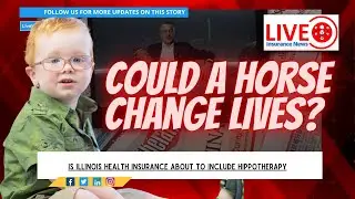 Insurance News Today   Horse Therapy Coverage May Soon Be a Reality in Illinois
