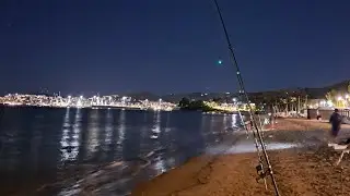 surfcasting nel Lazio con mormora XXL , bell'ombrina e big stella marina rilasciata!
