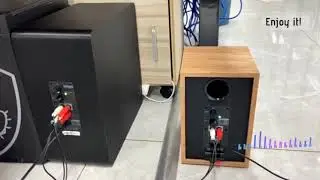 How to connect BESTISAN SW65D to bookshelf speakers?