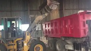 Gorelli Agro - Экспорт зерна из Казахстана