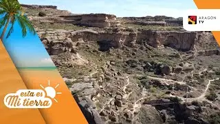 Monegros. La mayor variedad de flora y fauna de Europa