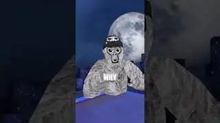 #gorillatag #gorillatagquest #funnyimages #vr #funnymemes #gtag #funnypictures #roblox #minimovie