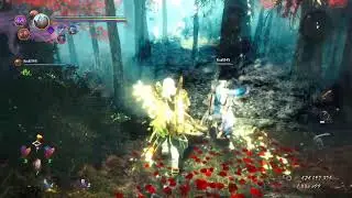 Nioh 2