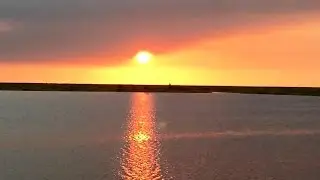 Saving the Everglades: How Far Would You travel to save the Everglades?