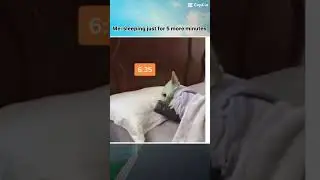 When you wake up POV, keep setting the alarms when you can&rsquo;t get out of bed 🛌￼