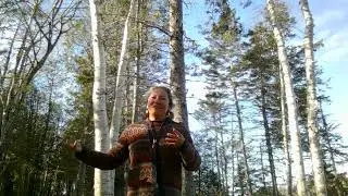 Elder Miigam'agan | Indigenous Health & Climate Change