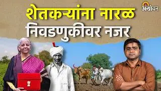 Union Budget 2026 : केंद्रीय अर्थसंकल्पात शेतकऱ्यांच्या वाट्याला काय आले ? | Agrowon