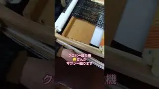 クロバー織り機で😀さんがマフラー織ります#クロバー織り機#手織り#手紡ぎ糸