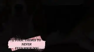 NEVER FEED THESE TO YOUR DOG | TOXIC THINGS | BEWARE