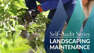 Self-Audit Series: Landscaping Maintenance