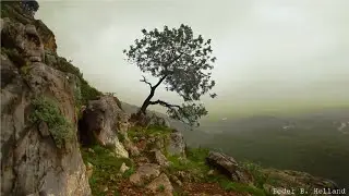 Instrumental Beautiful Music: Violin Music, Cello Music, Guitar Music, Flute Music, Piano Music