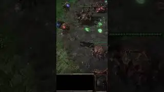 Destiny's 4 infestor hit squad in StarCraft 2