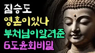 축생의 삶과 6도 윤회의 비밀 | 부처님말씀 | 부처님지혜 | 석가모니명언 | 석가모니가르침 | 불교철학 | 명언 | 오디오북