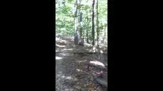Low Gap Trail, Morgan Monroe State Forest (10 Mile Hike) near Bloomington, Indiana