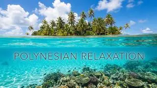 Nature TV - 1h Relaxation in French Polynesia - Above and Below the Surface of the Pacific Ocean
