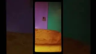 las verdaderas dan fan de arantxa