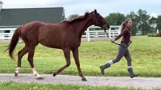 Crossfirehurricane, jog 5.27.22