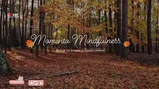 Momento Mindfulness 15* . Celta Music. Irish Music.