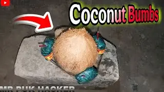 Coconut Bombs: The Coolest DIY Science Project