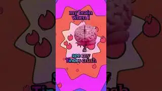 my brain on crush!