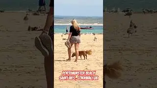 SAINT IVES TOURISTS SPOT  #porthminsterbeach #cornwall #uk #england #shorts #shortvideo #beach