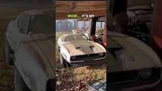 Я нашла свой идеальный STANG! 🐎 Классические широкие шорты #Шорты