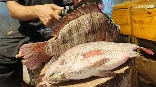 Nice Cutting Style | Amazing Big Tilapia Fish Cutting By Expert Fish Cutter