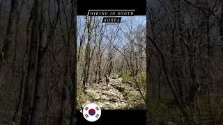 Hiking in South Korea-Danyang Sobeaksan #등산 #southkorea #hiking #s&uuml;dkorea #wanderlust #danyang #단양