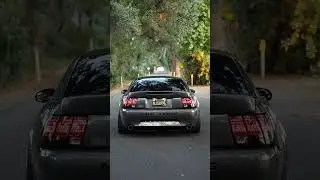 04 Mach 1 - BBK O/R X, Custom IRS Catback, and Vibrant UQ Resonators