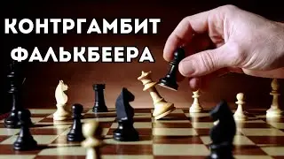 Как играть против Королевского гамбита? Контр гамбит Фалькбеера! Шахматная ловушка
