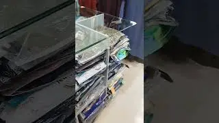 Our visiting BK fashion.Jessore