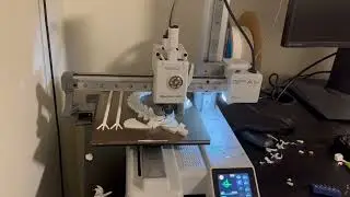 3 D Printing At Home /STEM Learning 