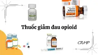 [DƯỢC LÝ] - Bài 8: Thuốc giảm đau opioid | PGS.TS.DS. Phạm Thành Suôl _ CTUMP.