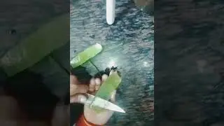 facial toner #aloe Vera #shorts #ytshorts #youtubeshorts