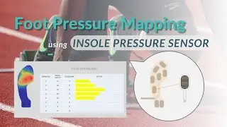 Insole Pressure Sensor &ndash; Foot Pressure Mapping