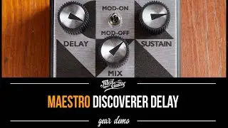 Spacious Delay Tones! - Maestro Discoverer Delay