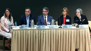 Zika Action Plan Summit: State and Local Panel