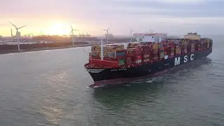 MSC Cargo - Investing in our fleet | MSC