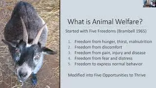 UWCFD Lunch & Learn: Animal Welfare Programs