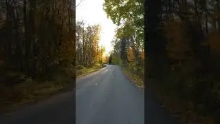 Canada in Fall Colors 🍁 4K Relaxation #OntarioFall #CanadianAutumn #RelaxingNature